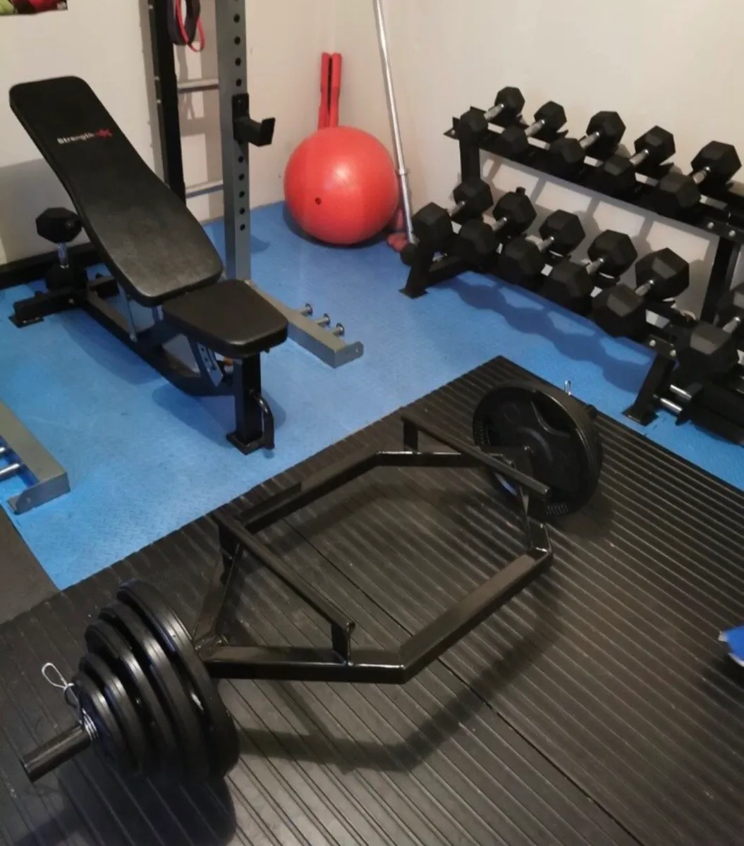 Dead Lift / Shrug / Trap Bar - Image 3