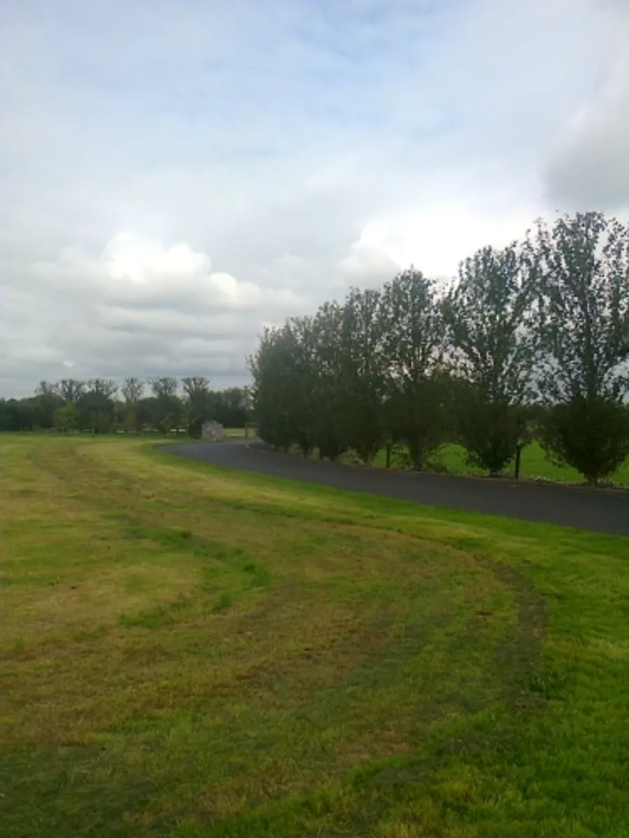 tree down.ie ie - Image 3