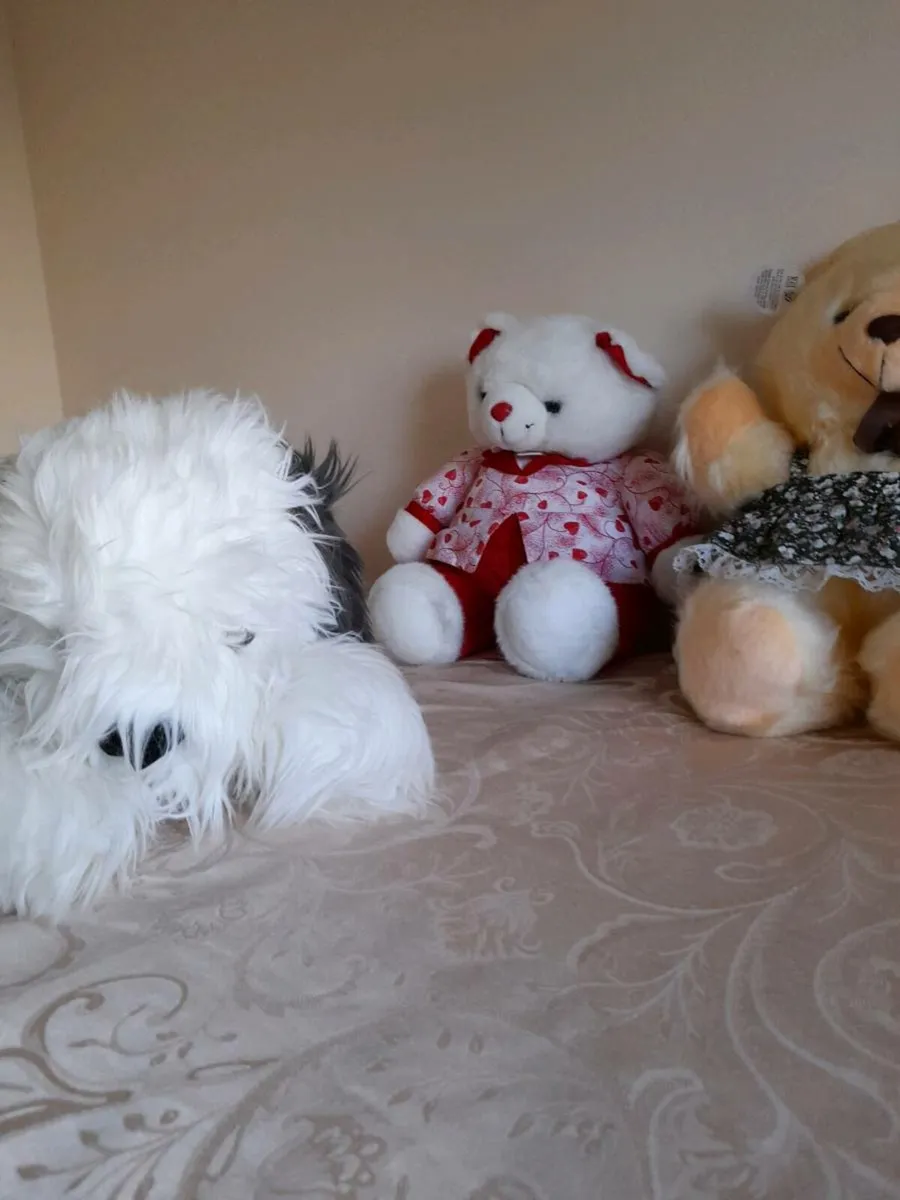 Soft toys - Image 2