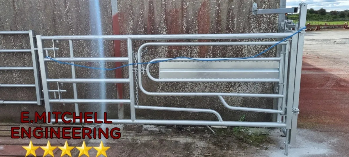 Heavy duty 3&1 calving gates. - Image 4