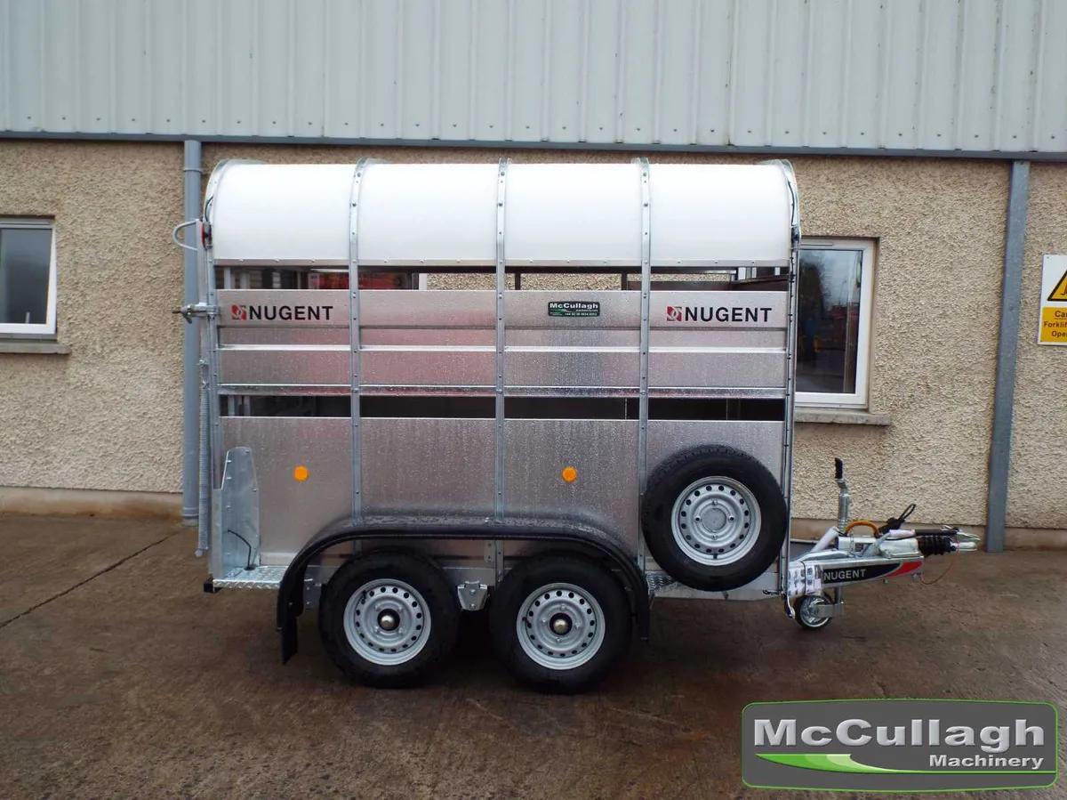 New Nugent 8x5 2 Cow Cattle Trailer - Image 3