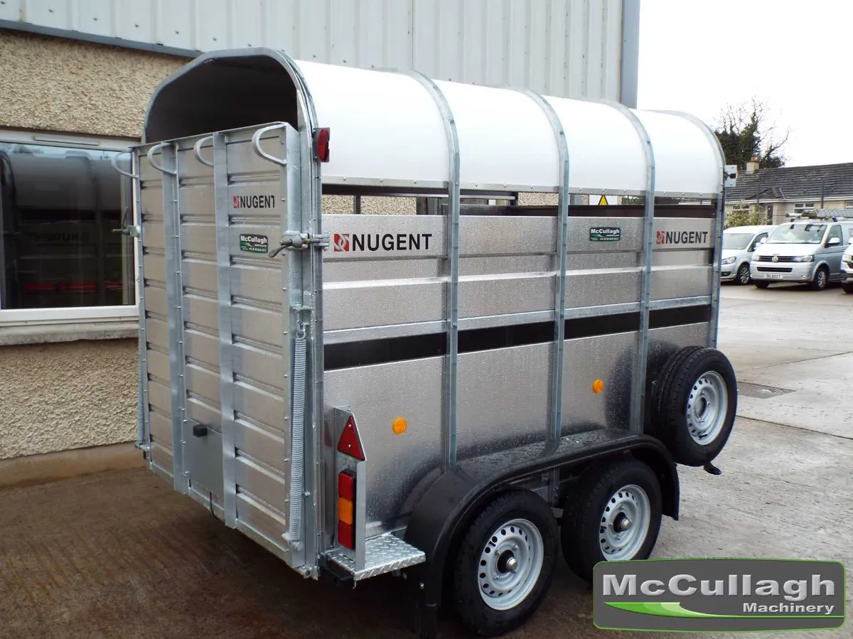New Nugent 8x5 2 Cow Cattle Trailer - Image 4