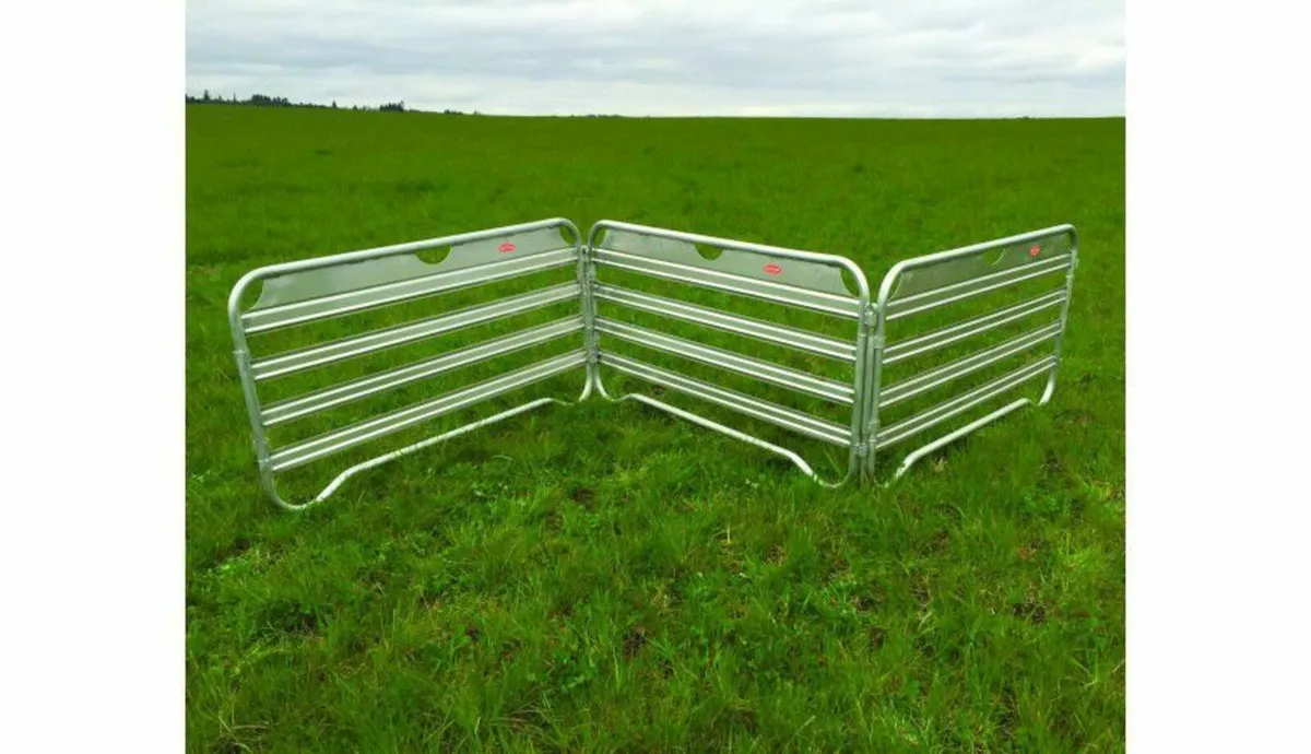 Sheep feed barriers, dividing gates and penning - Image 3