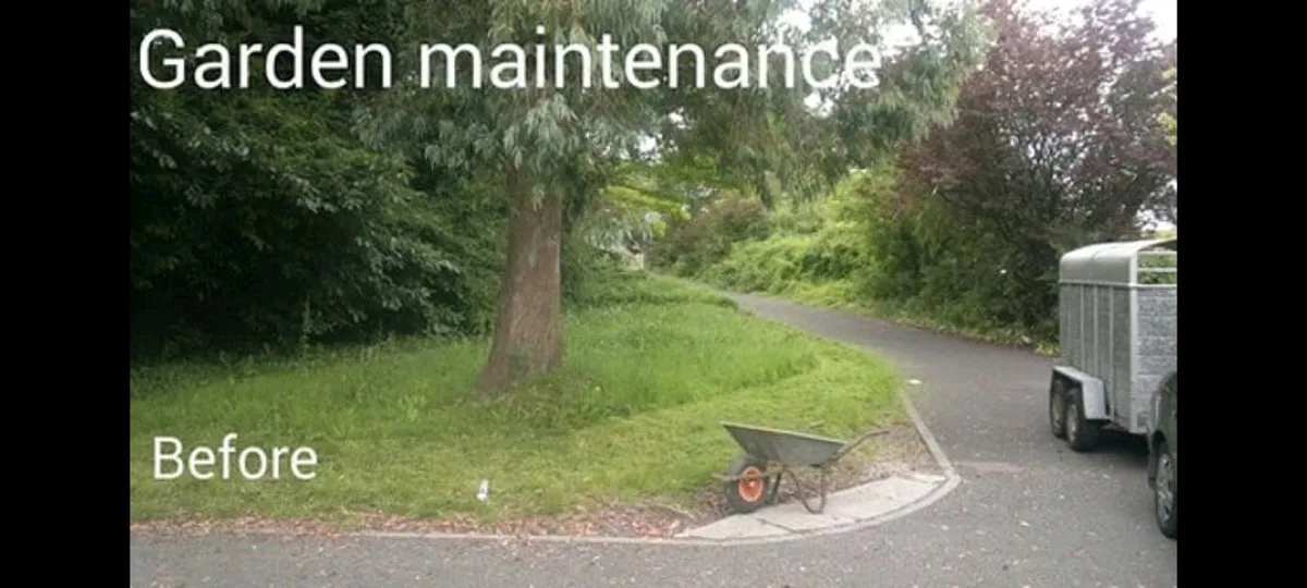 Handyman, home and garden maintenance - Image 1