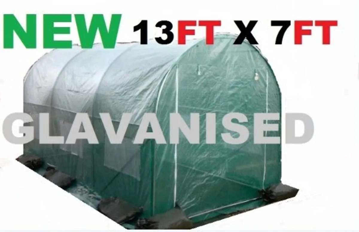 POLYTUNNEL - Image 1