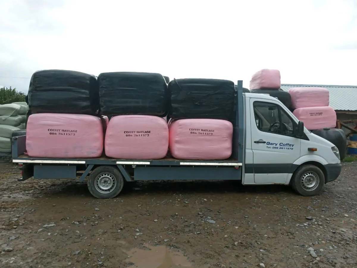 HAYLAGE FOR SALE - SQUARES AND ROUNDS. - Image 2