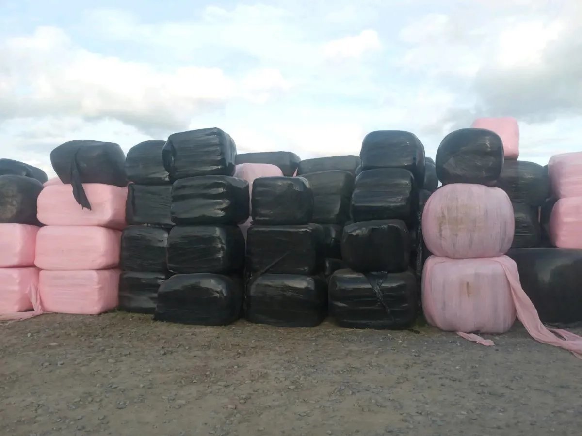 HAYLAGE FOR SALE - SQUARES AND ROUNDS. - Image 3