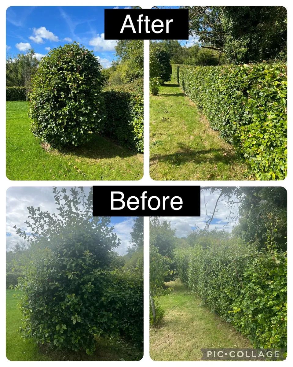 Lawn care & Gardening - Image 2