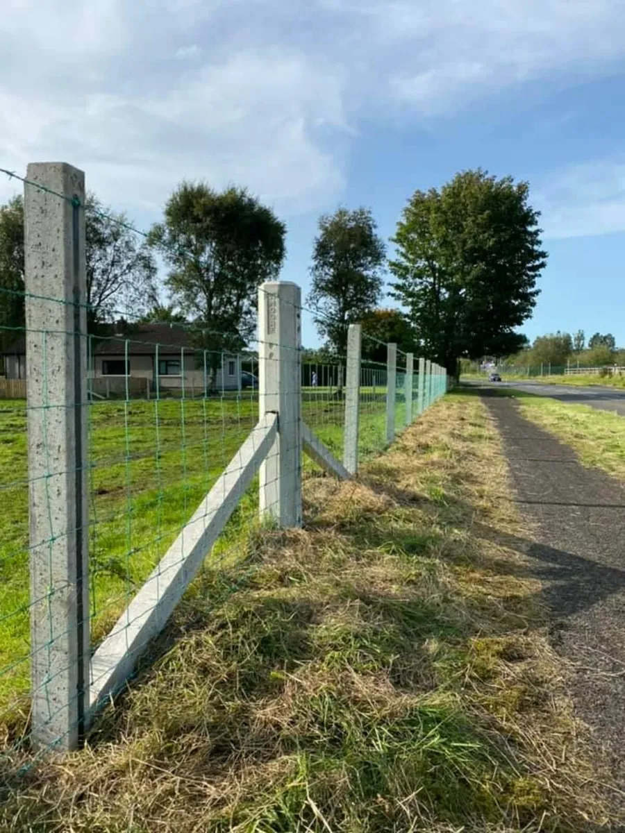 Concrete fence posts and strainers. + timber posts - Image 1