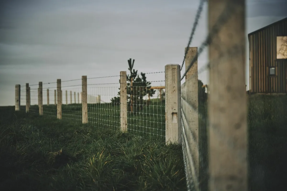 Concrete fence posts and strainers. + timber posts - Image 3