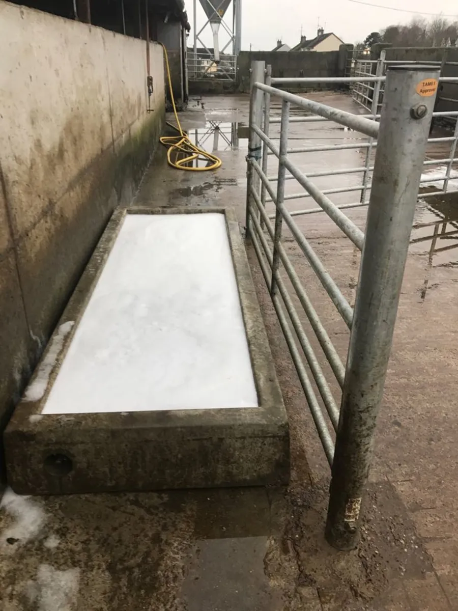 Cattle Footbath - Image 3