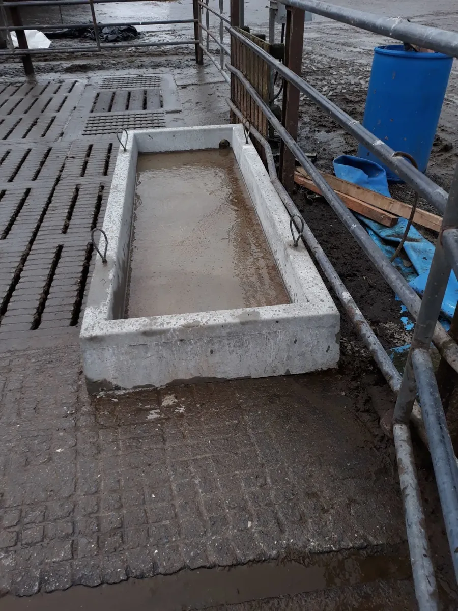 Cattle Footbath - Image 4