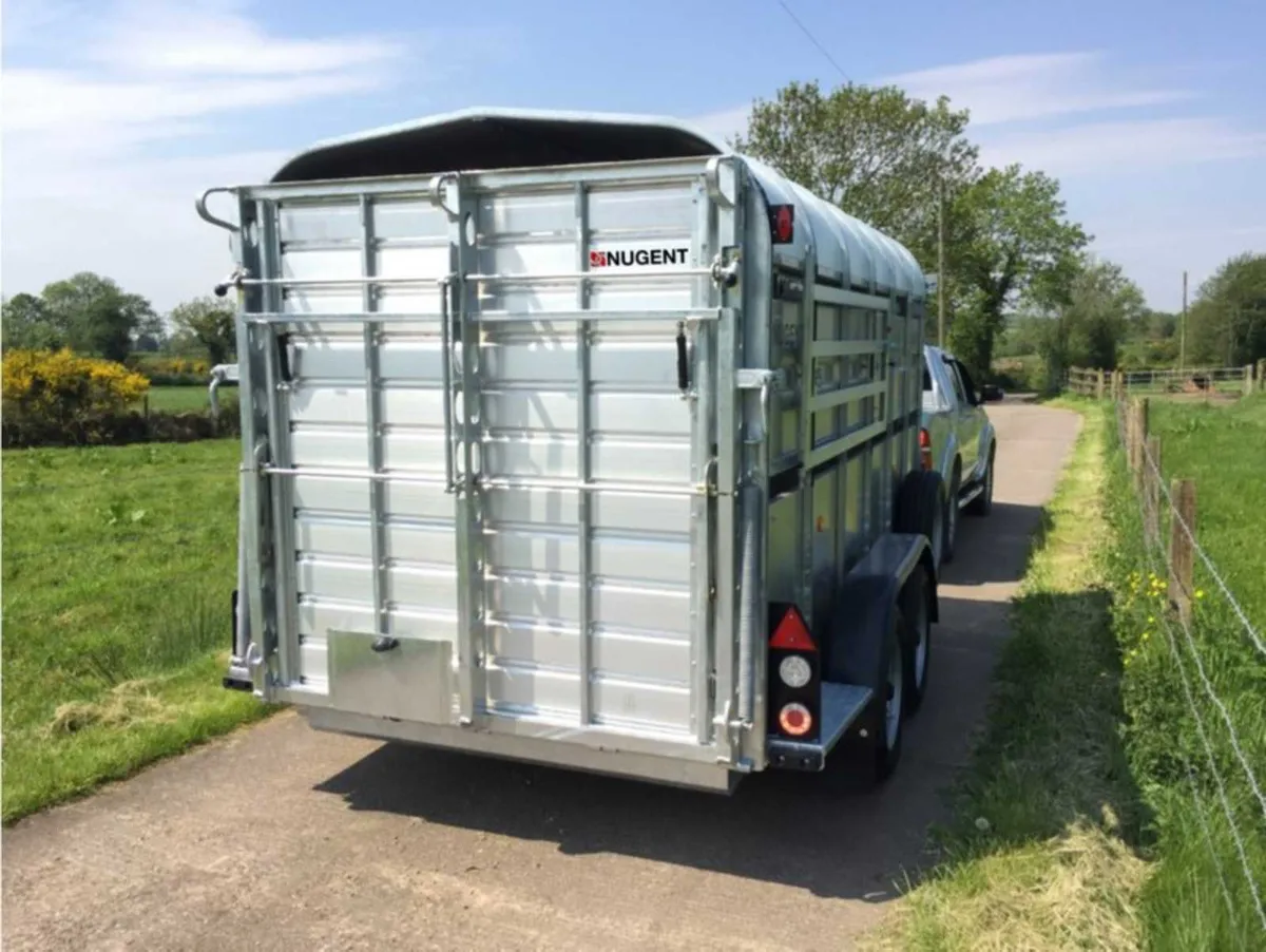 Nugent 14x6 Livestock - Tri Axle - Decks - Image 3
