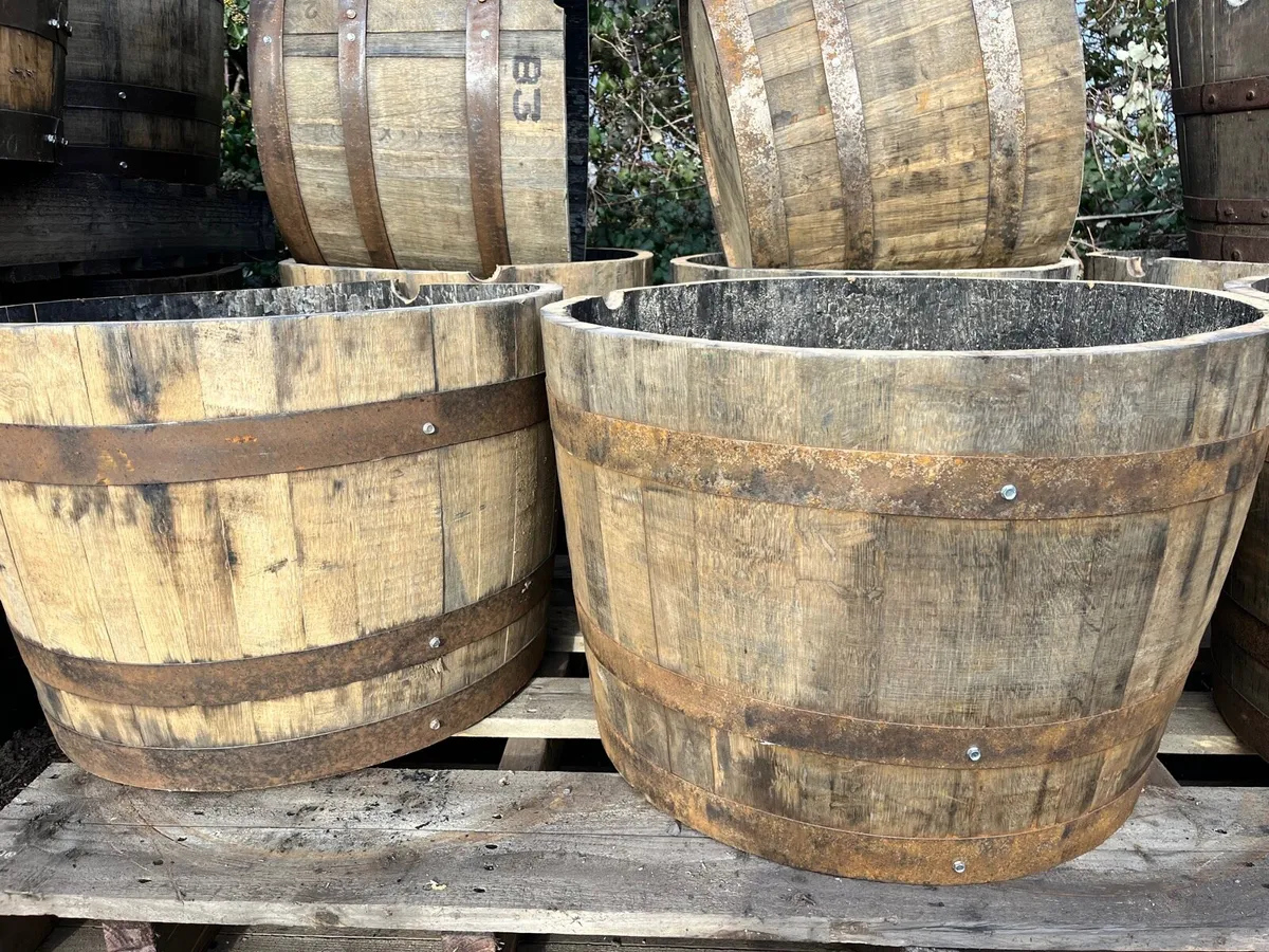 Whiskey oak Barrel planters €35 - Image 3