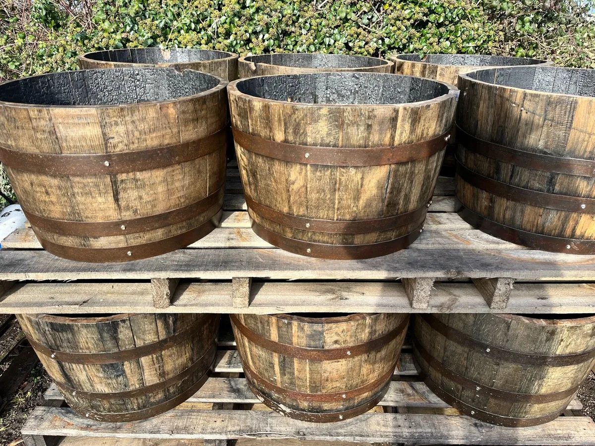 Whiskey oak Barrel planters €35 - Image 1