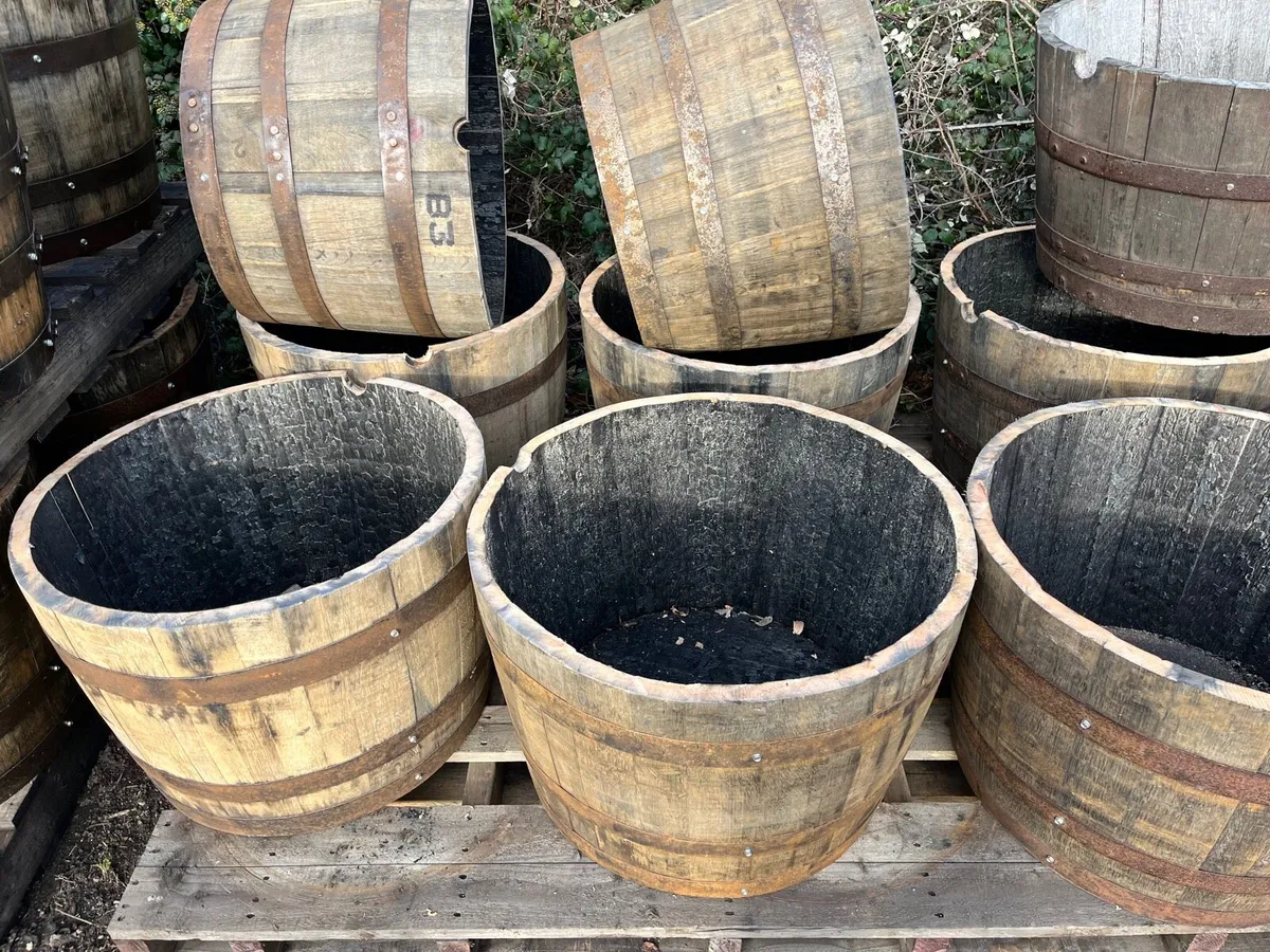 Whiskey oak Barrel planters €35 - Image 2