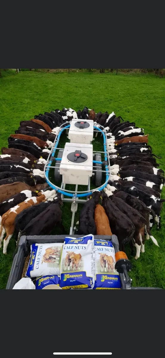 calf feeder - Image 4