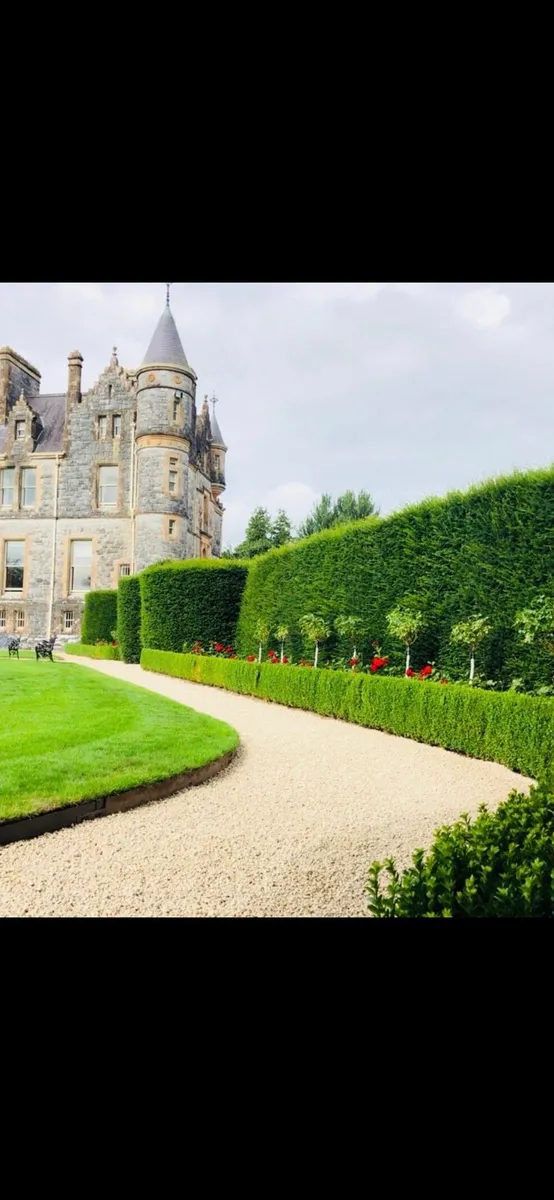 Plum slate stone rocks cobbles pebbles boulders - Image 2