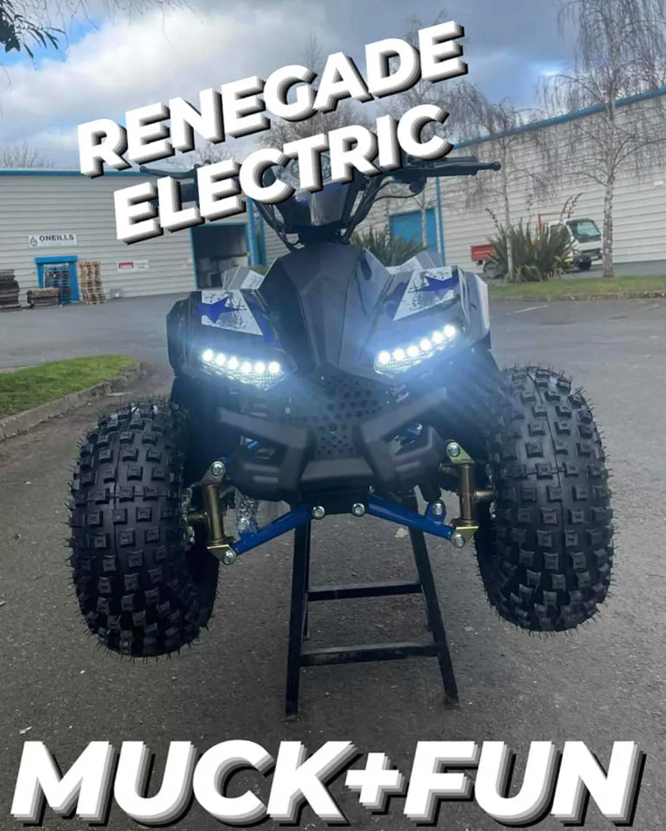 RENEGADE 1200 Electric kids atv DELIVERY/CHOICE - Image 1