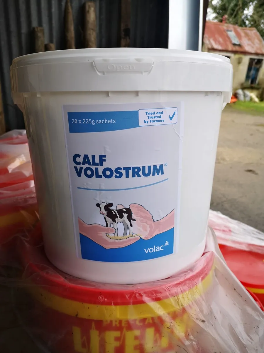 Calf Clear /Crypto clear bolus, Crypto Scour - Image 2