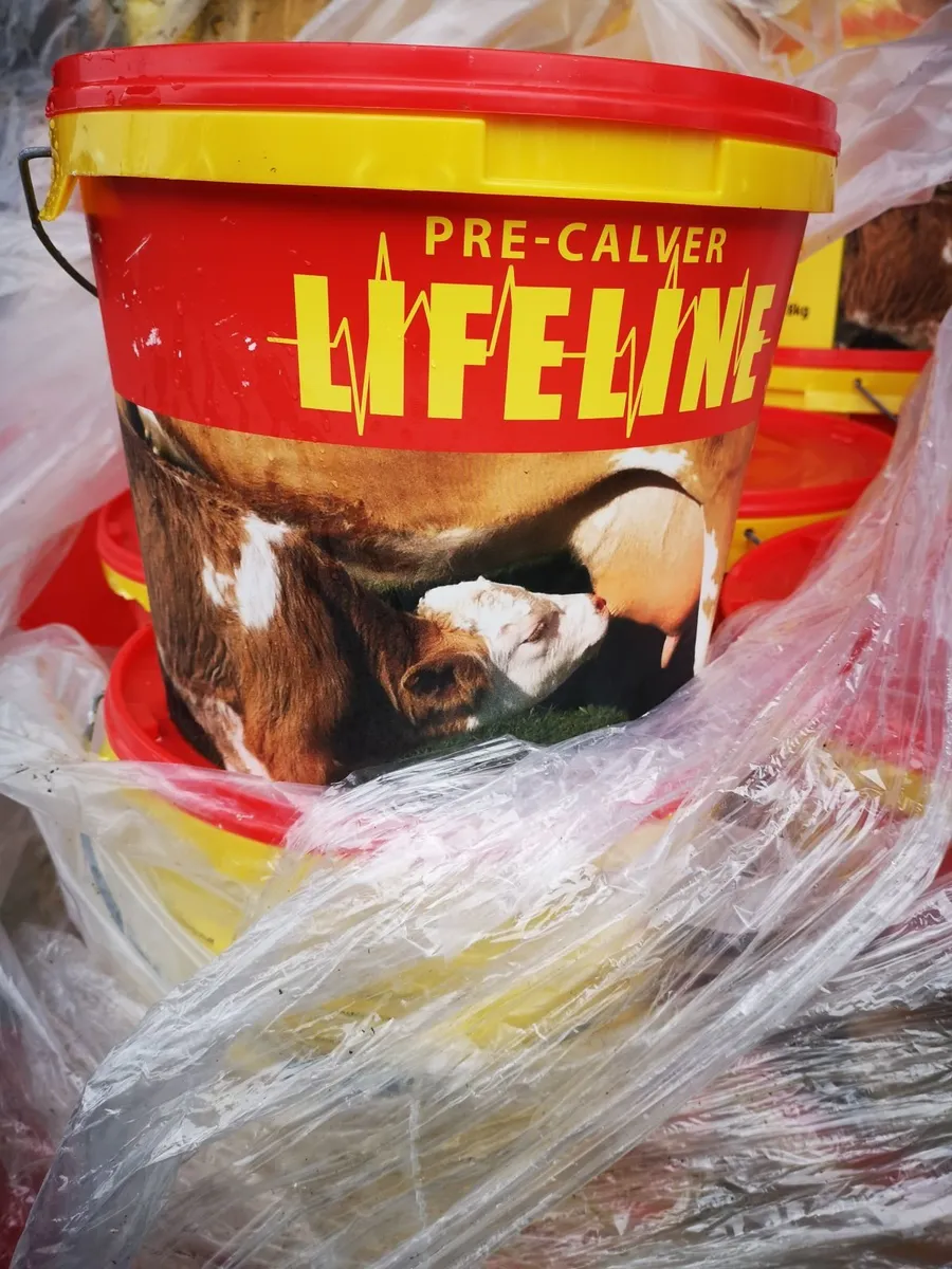 Calf Clear /Crypto clear bolus, Crypto Scour - Image 4