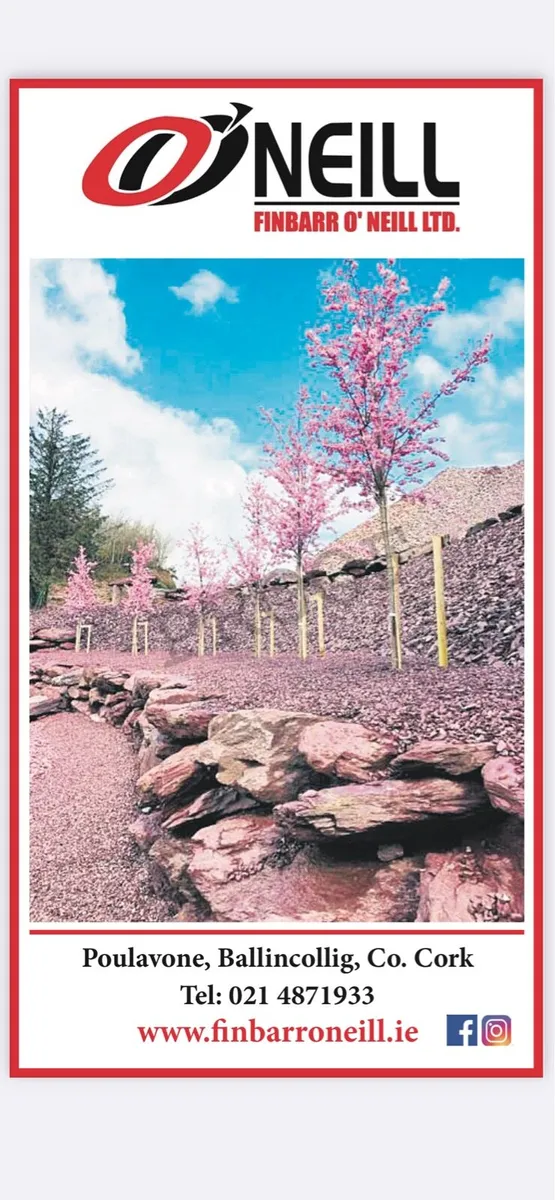 Stone ,decorative Time to LOVE your garden - Image 2