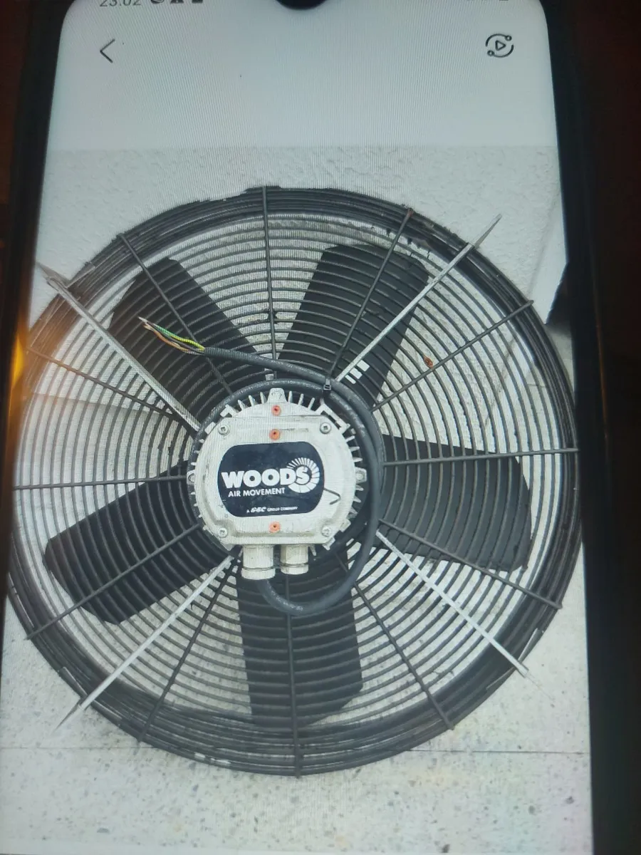Fans - Image 1