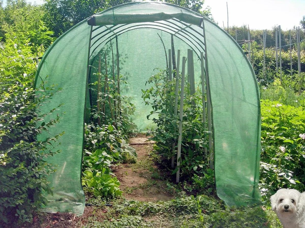 POLYTUNNEL - Image 3