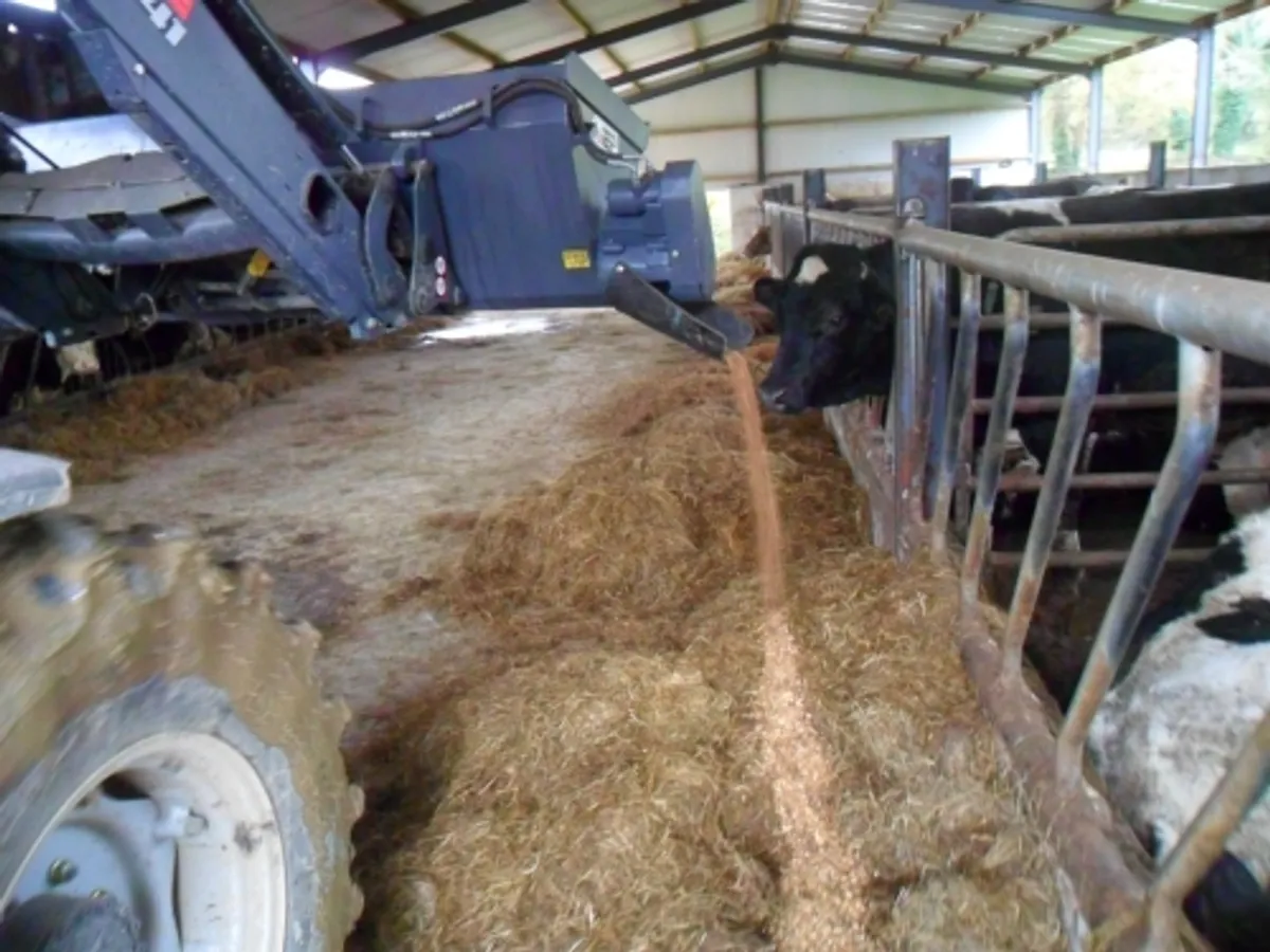 I E P  MEAL DISPENSER - Image 3