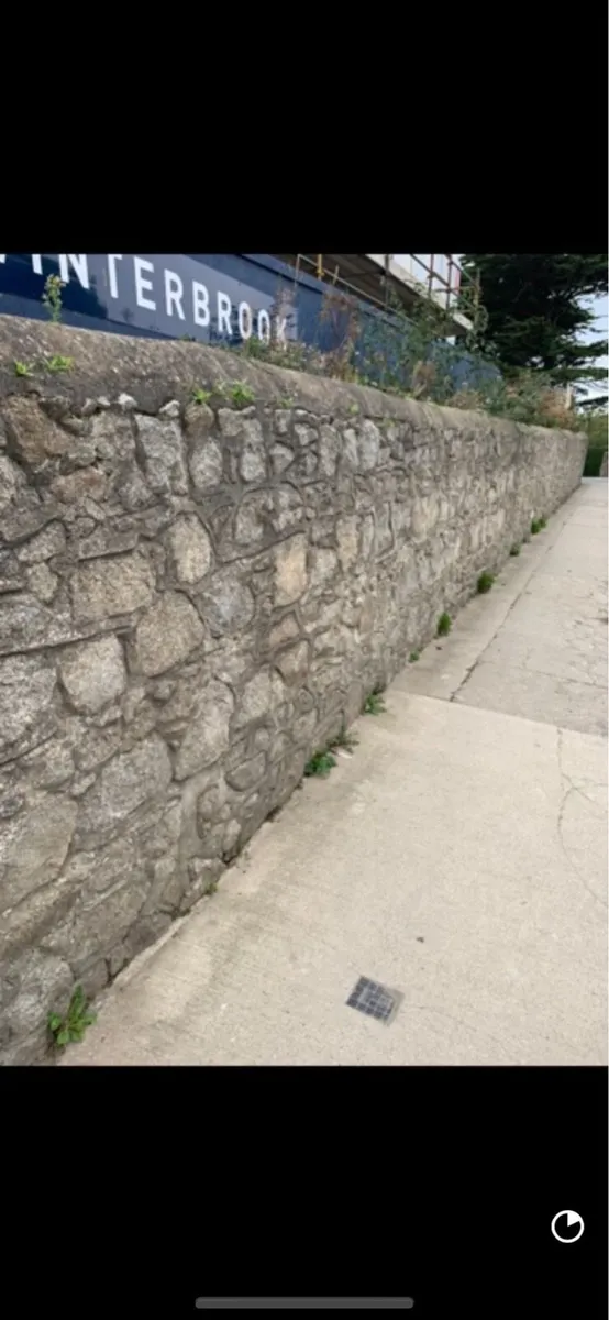 DALKEY GRANITE - Image 1