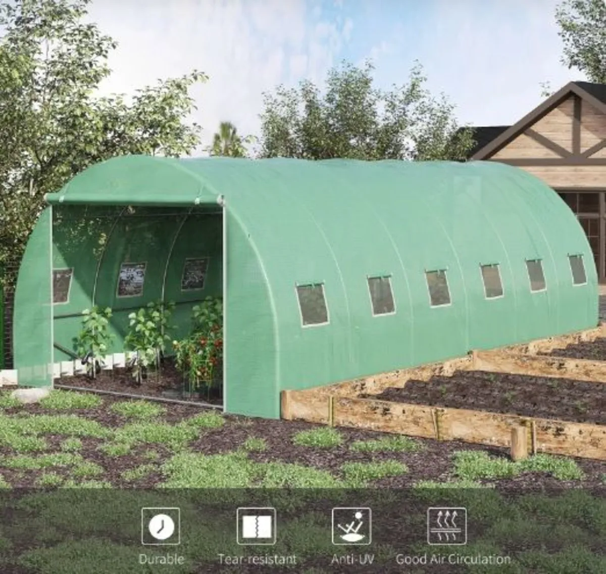 POLYTUNNEL - Image 2