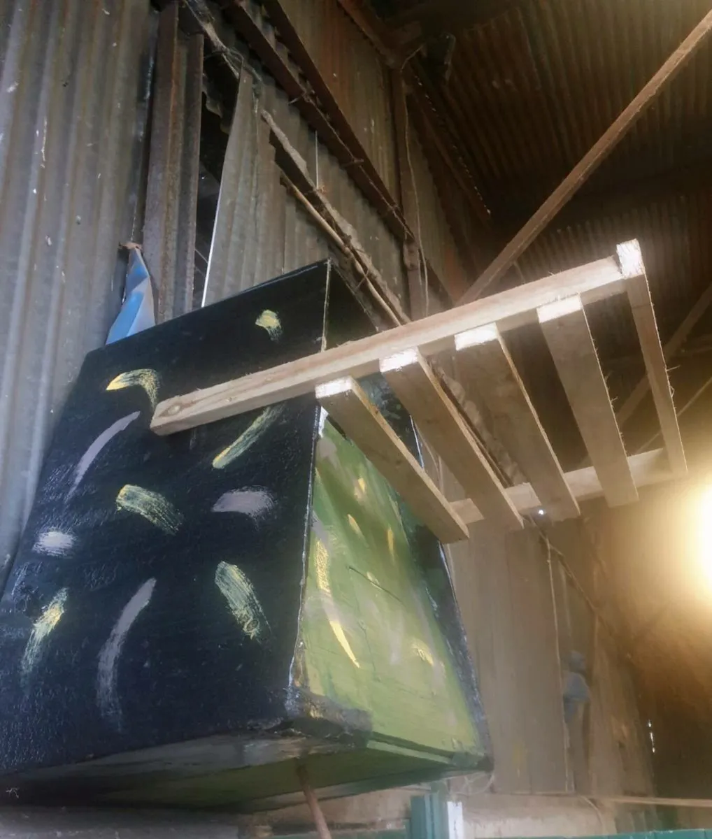 Weatherproof Owl, swift squirrel and bird boxes - Image 2