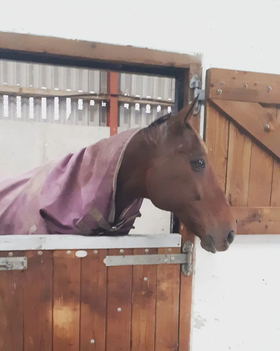 Livery Yard - Image 2