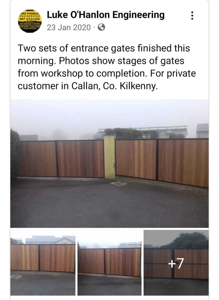 Entrance gates and railings - Image 4