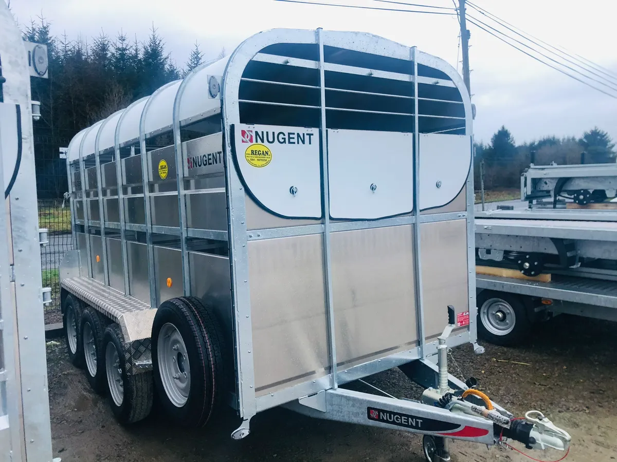 Nugent 12x6 - Tri- Axle - Cattle Trailer - Image 3