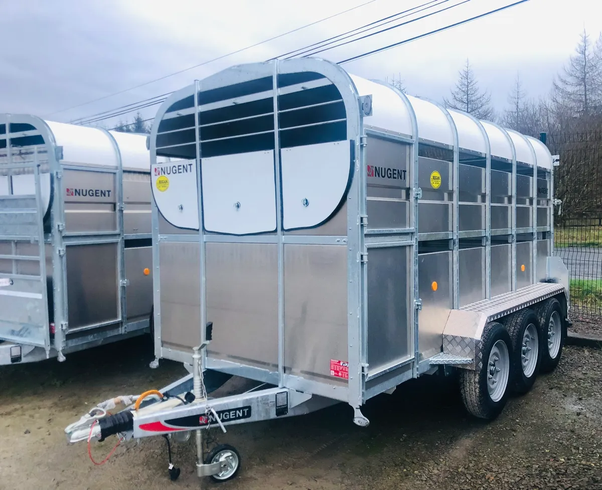 Nugent 12x6 - Tri- Axle - Cattle Trailer - Image 4
