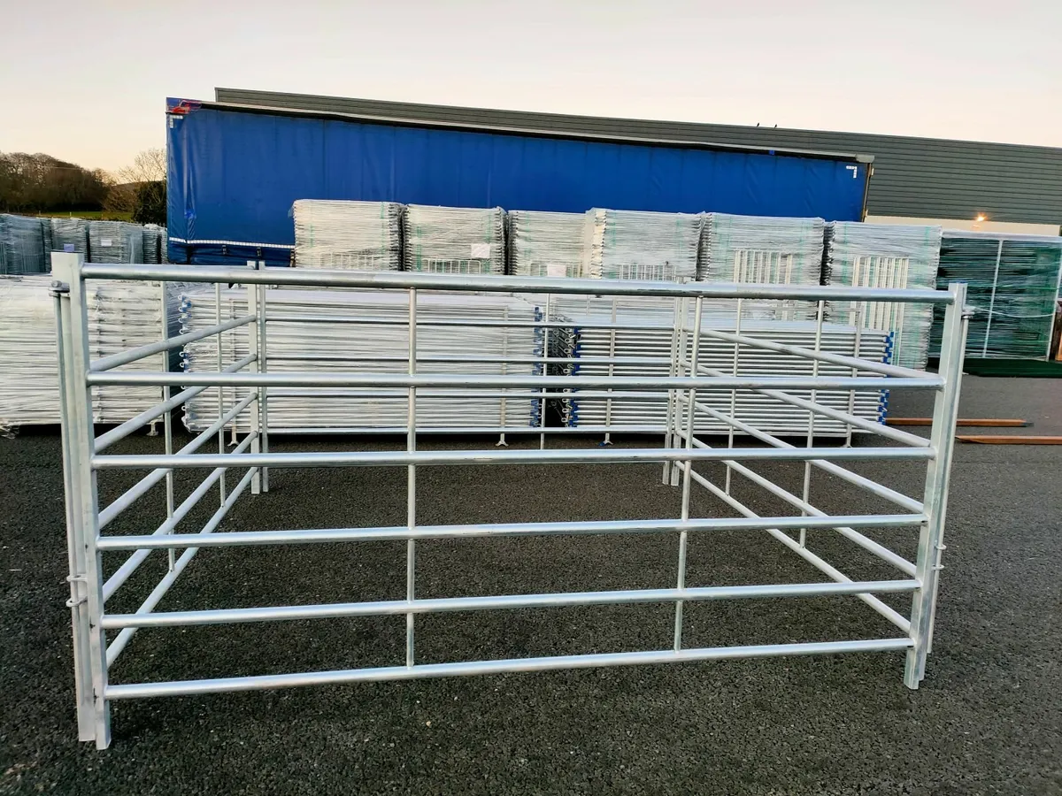 Cattle hurdles - Image 1