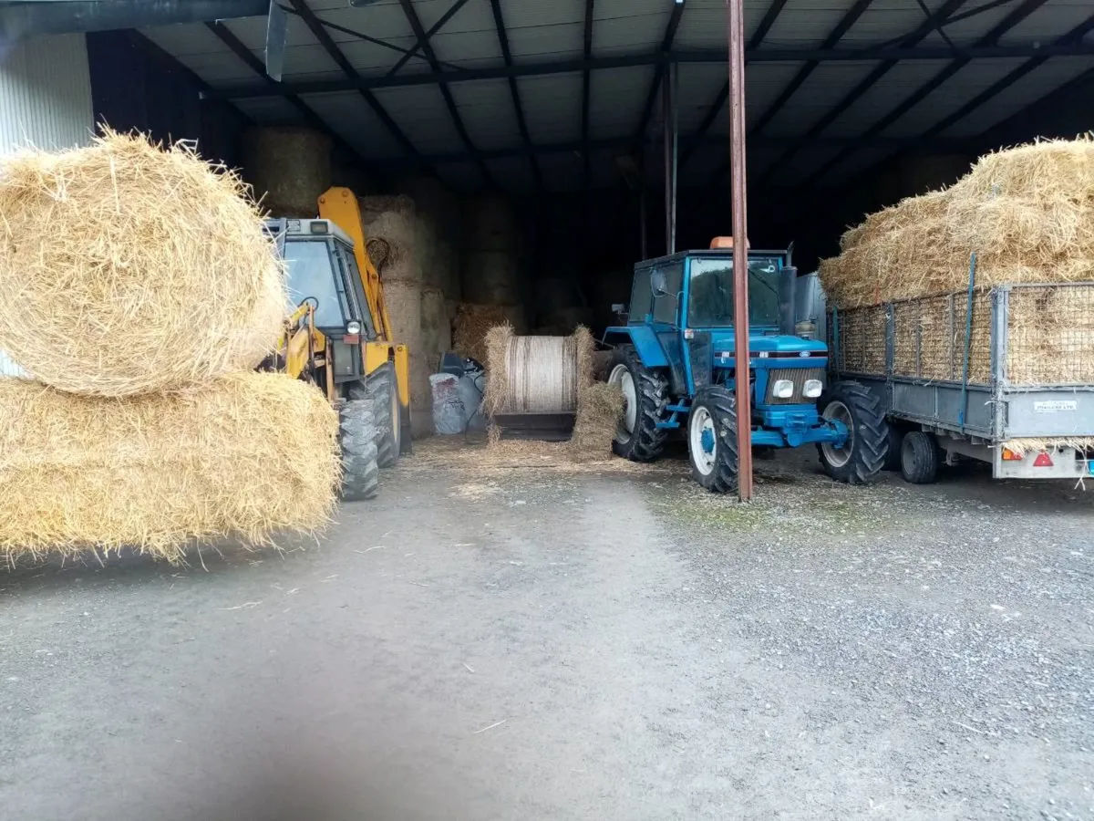 hay & straw x yard or delivered - Image 2