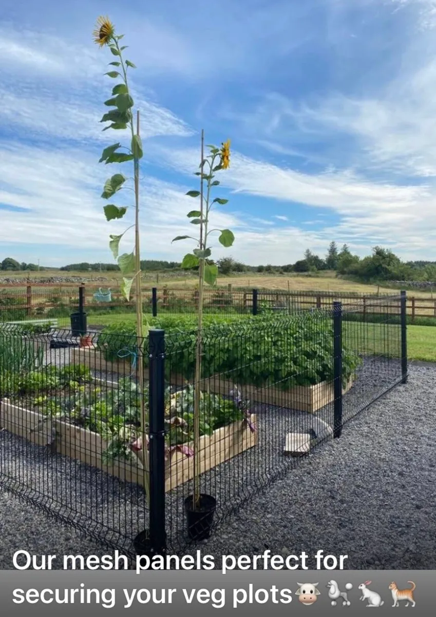 ‼️ SALE‼️Fencing  & Fencing solutions.. Samson - Image 2