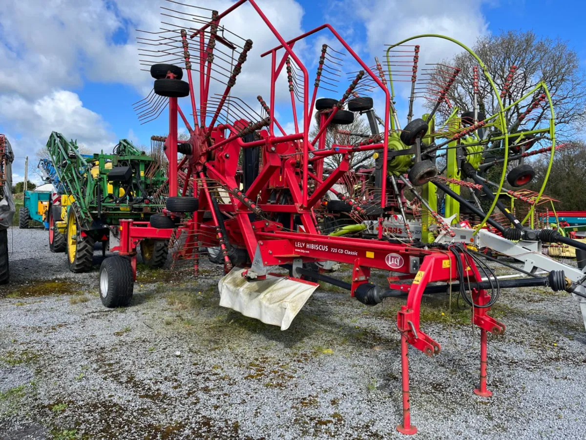 Lely Hibiscus 725 - Image 1