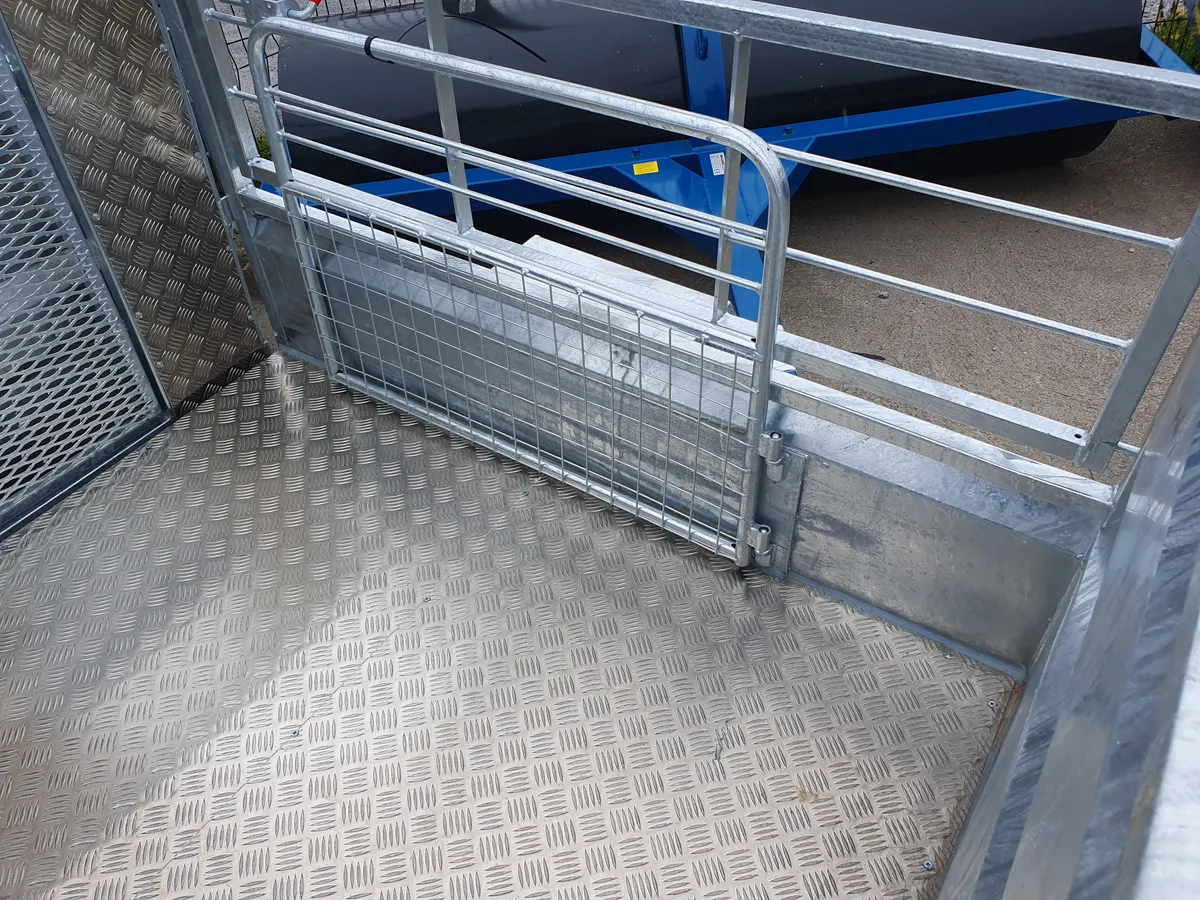 New 5x3 Quad trailers - Image 4