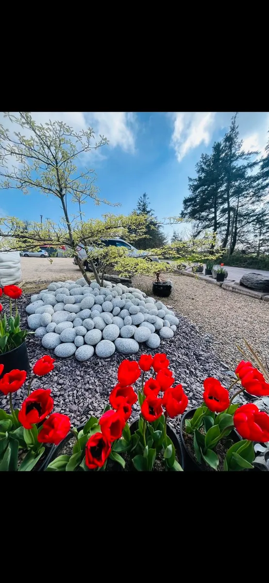 Plum slate stone rocks cobbles pebbles boulders - Image 1