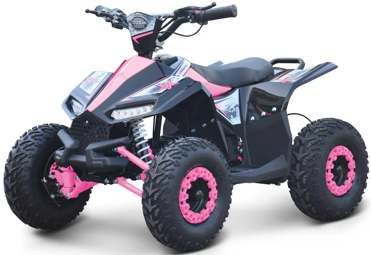 RENEGADE Ranger KIDS PRO Electric quad DELIVERY - Image 3