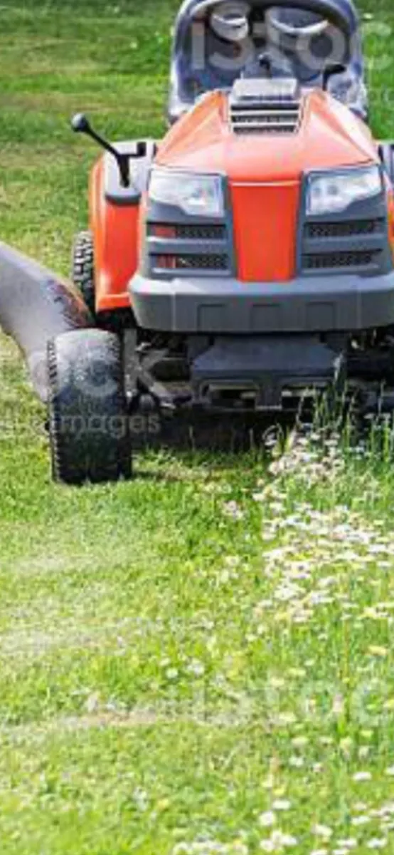 Grass cutting - Image 2