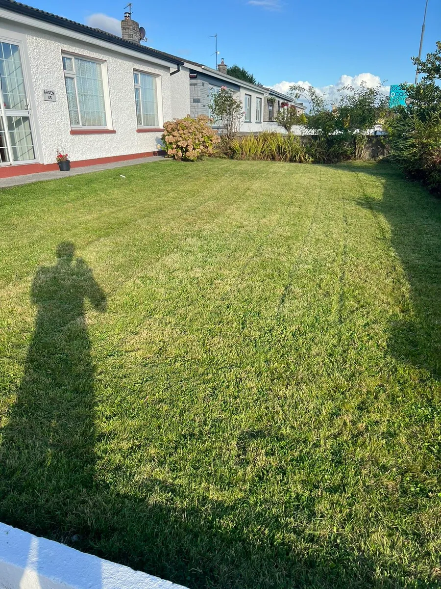 Grass cutting - Image 4