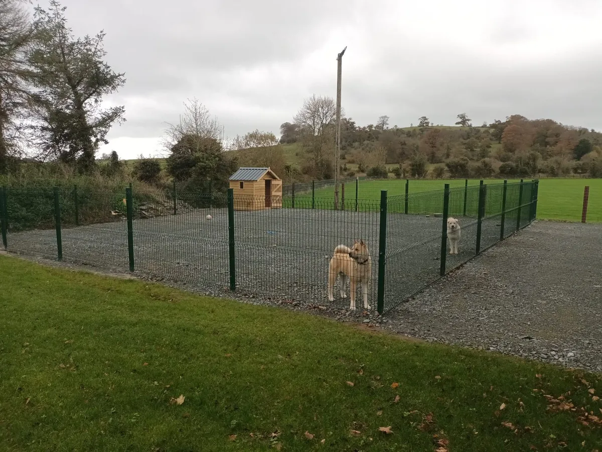 ‼️ SALE ‼️Luxury Dog runs/ homes Ireland - Image 4