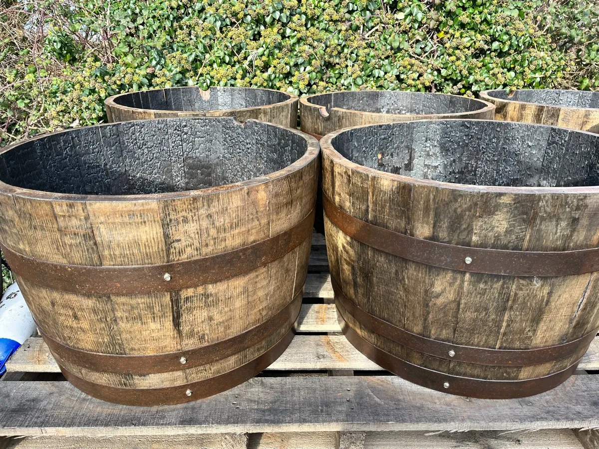 Whiskey Barrel Planters ready to go nationwide - Image 2