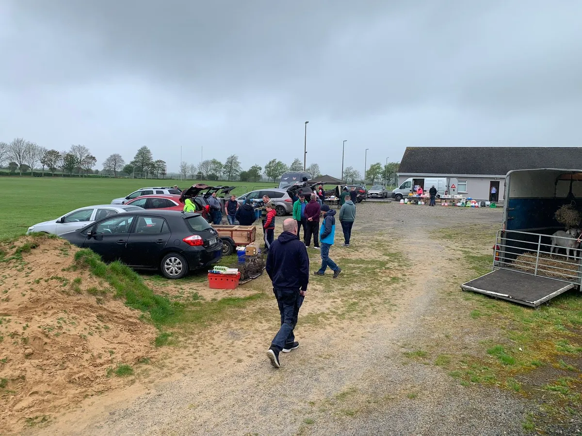 Limerick/Clare poultry sale - Image 1