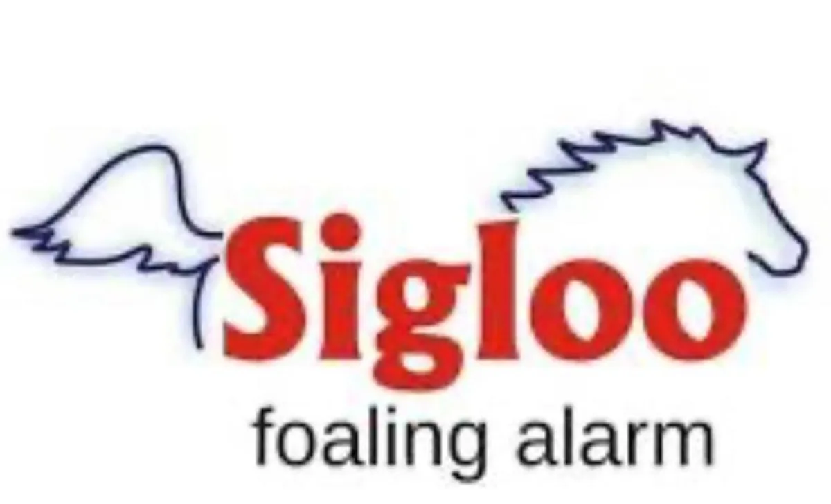 Sigloo foaling alarm - Image 2