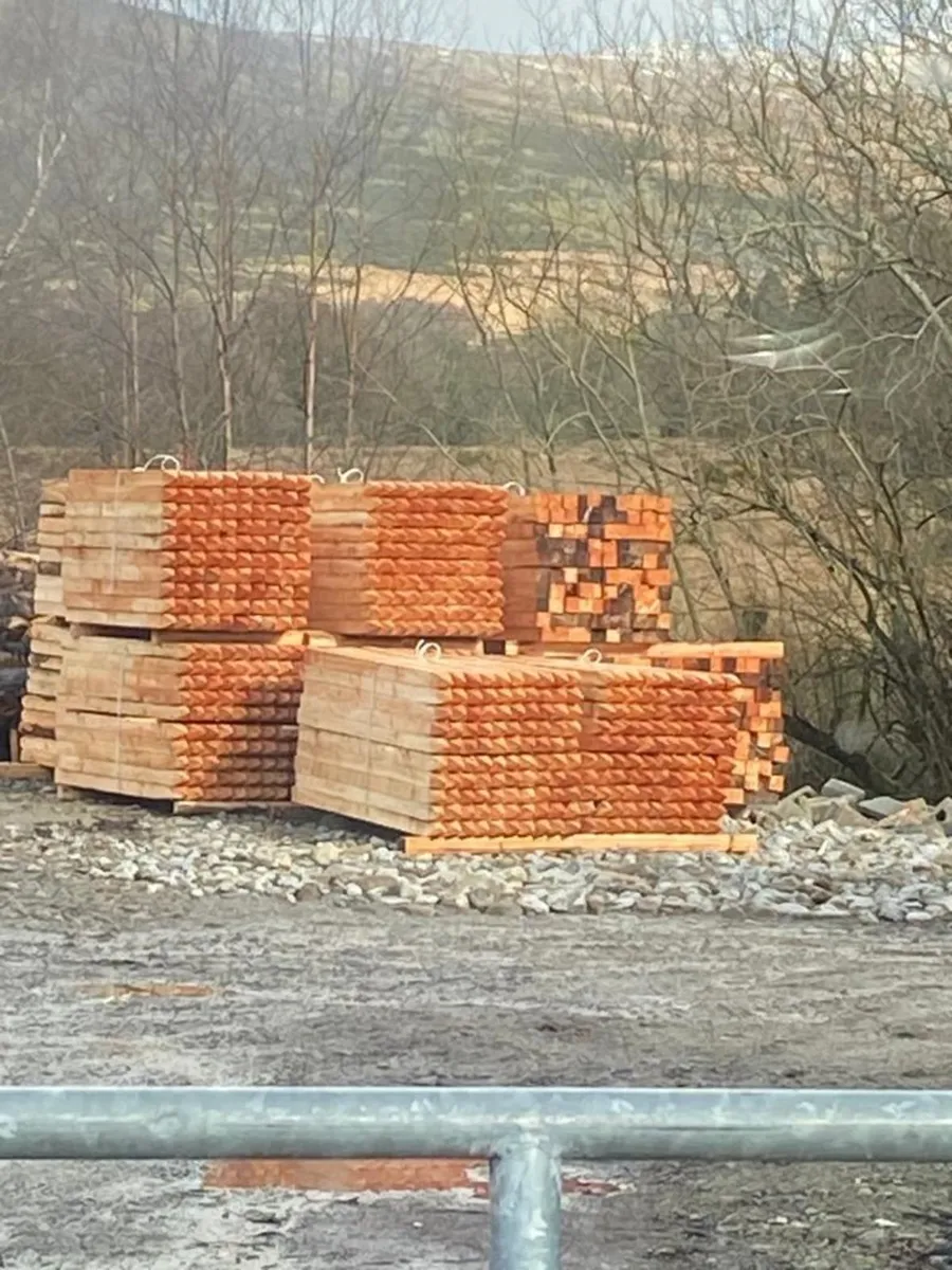 Larch stakes - Image 2